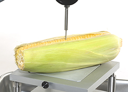 Grips and fixtures for fruit and vegetables testing